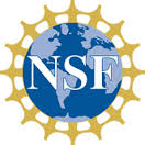 Logo NSF