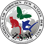 Logo ZSM